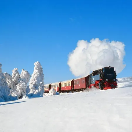 Seeufer #grosser Garten#seenaehe# Von Harztraveler Appartement Goslar