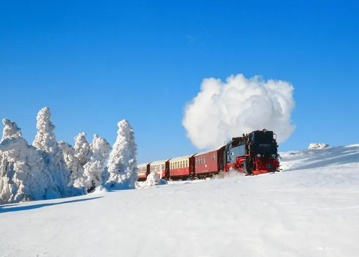 Seeufer #grosser Garten#seenaehe# Von Harztraveler Lejlighed Goslar